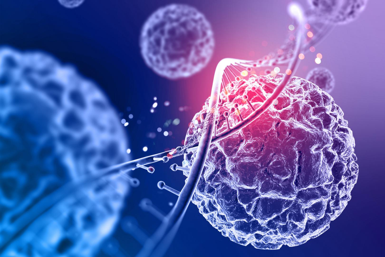 Bədxassəli şişlər